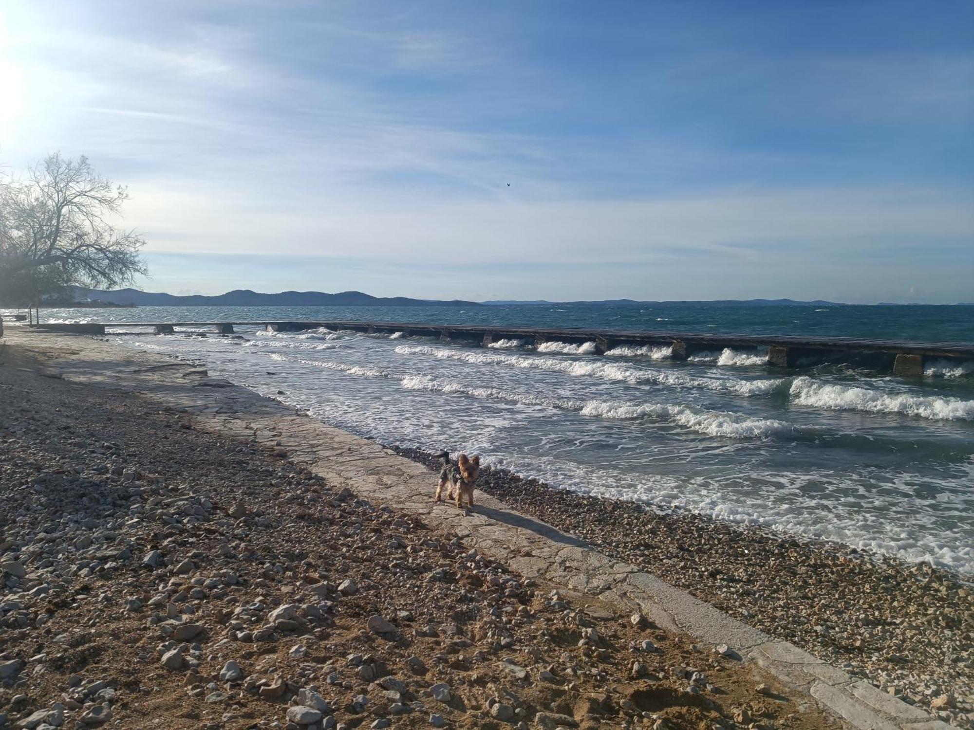 Zadar Beach Apartments エクステリア 写真