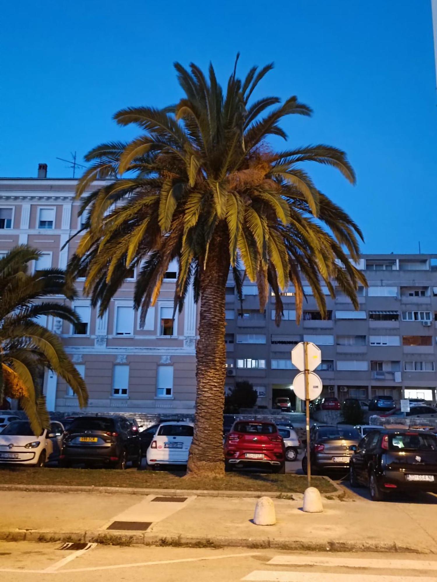Zadar Beach Apartments エクステリア 写真